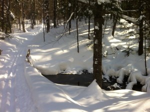 En ski de fond par une super journée  !
